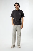 Pacsun Hidden Hills Stitched T-Shirt