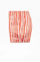 PacSun Rosey Striped 4.5" Swim Trunks