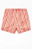 PacSun Rosey Striped 4.5" Swim Trunks