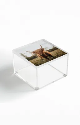 Cow Acrylic Storage Box