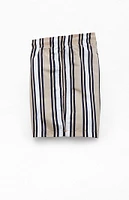 PacSun Multi Stripe 4" Swim Trunks