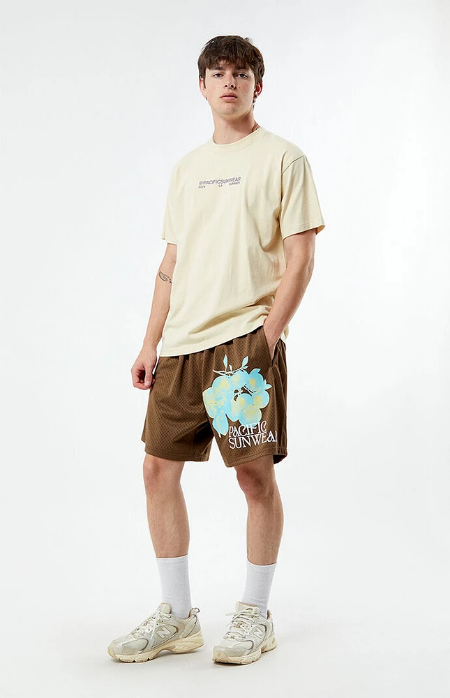 PacSun Brown Lemons Mesh Basketball Shorts