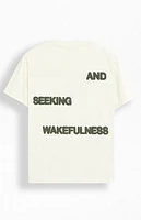 Pacsun Lost Dreams Puff Oversized T-Shirt