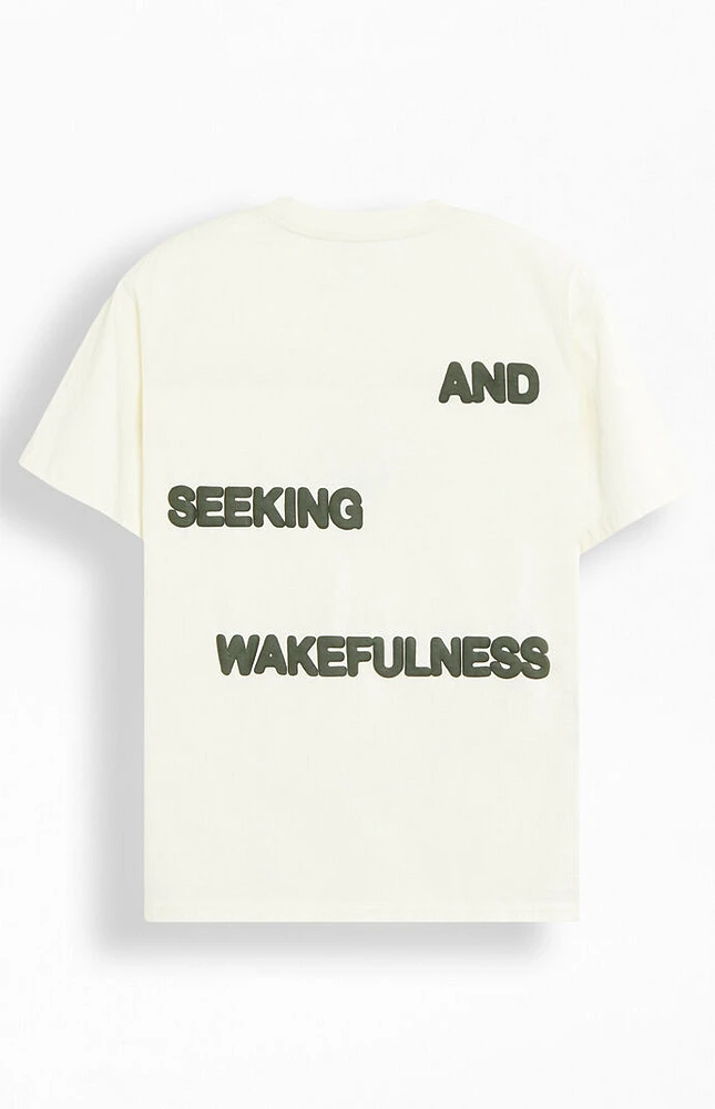 PacSun Lost Dreams Puff T-Shirt