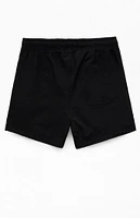 PacSun Sail Seersucker 4.5'' Swim Trunks