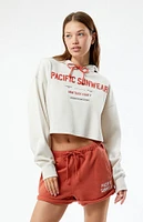 PacSun Pacific Sunwear Cropped Boxy Hoodie