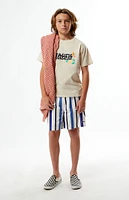 PacSun Kids Roosevelt Striped 4.5" Swim Trunks