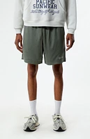 PacSun Pacific Sunwear Mesh Shorts