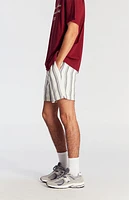 Pacsun Navy Striped Textured Volley Shorts