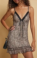 Beverly and Beck Corinne Leopard Lace Trim Mini Dress