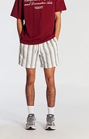 Pacsun Navy Striped Textured Volley Shorts