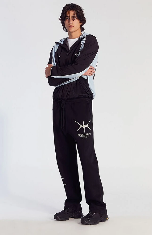 Pacsun Regal Arts Baggy Sweatpants