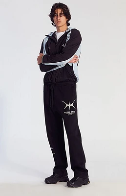 Pacsun Regal Arts Baggy Sweatpants