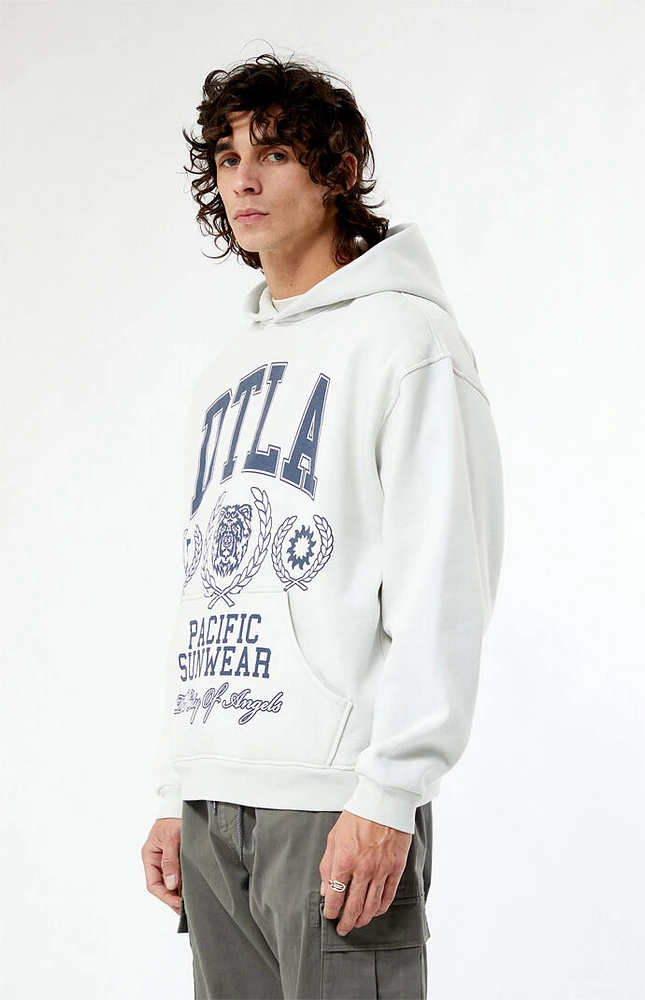 PacSun Pacific Sunwear DTLA Collegiate Hoodie