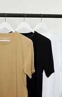 PS Basics 3 Pack Scallop T-Shirts