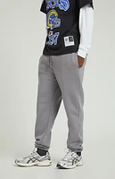 Pacsun Pewter Fleece Sweatpants