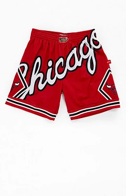 Mitchell & Ness NBA Chicago Bulls Mesh Basketball Shorts