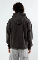 PacSun Pacific Sunwear Sleep Hoodie