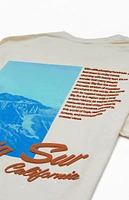 PacSun Big Sur Puff T-Shirt