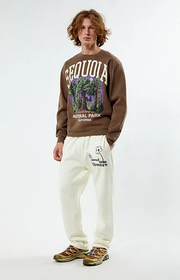 PacSun Embroidered Straight Leg Sweatpants