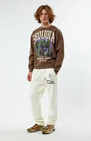 PacSun Embroidered Straight Leg Sweatpants