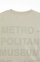 The Met x PacSun Museum Oversized T-Shirt