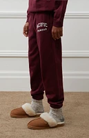 PacSun Kids Pacific Sunwear Logo Jogger Sweatpants