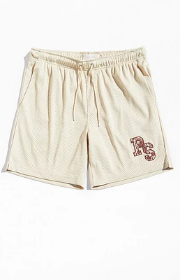 PacSun Patch Mesh Shorts