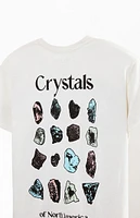 PacSun Crystals T-Shirt