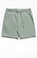 Pacsun Green Fleece Volley Sweat Shorts