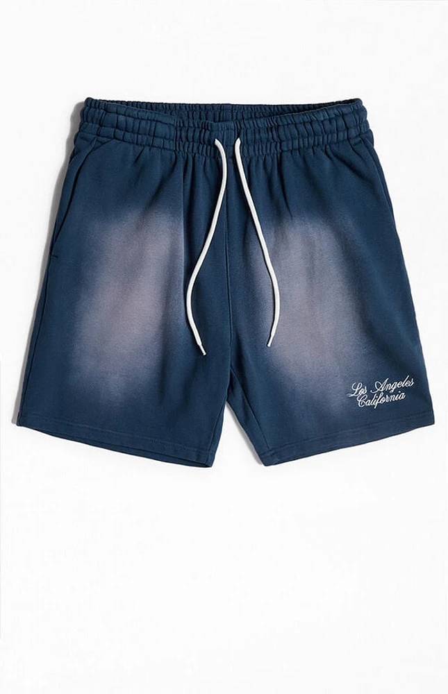 Pacsun Navy Potassium Fleece Volley Sweat Shorts