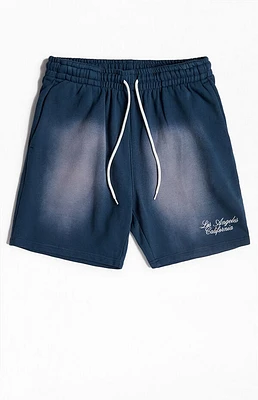 Pacsun Navy Potassium Fleece Volley Sweat Shorts