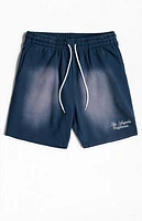 Pacsun Navy Potassium Fleece Volley Sweat Shorts