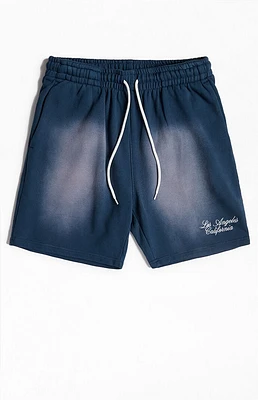 PacSun Navy Potassium Fleece Volley Sweat Shorts