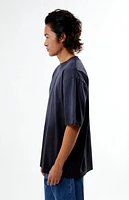 Pacsun Premium Potassium Wash T-Shirt