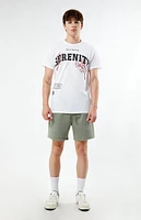 PacSun Light Fleece Volley Shorts