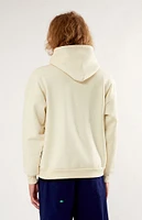 PacSun Solid Hoodie