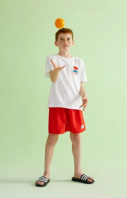 PacSun Kids Red 4.5" Swim Trunks