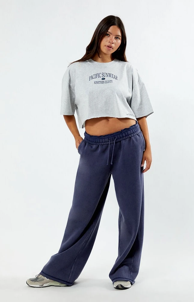 PacSun Total Wash Extreme Baggy Sweatpants