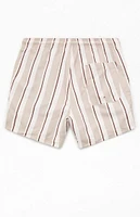 PacSun Basket Striped 5" Swim Trunks