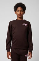 PacSun Kids Brown Crew Neck Sweatshirt