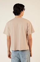 Pacsun Premium Cropped T-Shirt