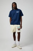 Pacsun Harmony Edge Fleece Volley Sweat Shorts