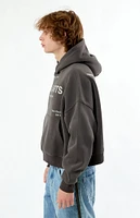 PacSun Regal Arts Cropped Hoodie