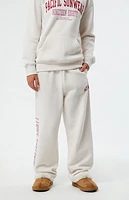 Pacsun Kids Pacific Sunwear Nineteen Eighty Baggy Sweatpants