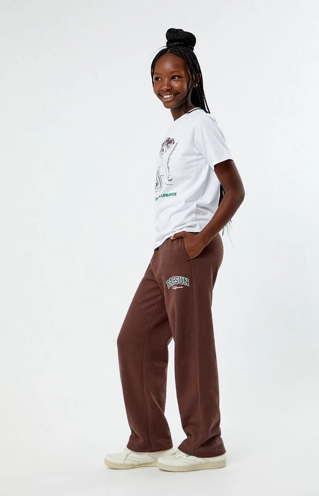 Pacsun Kids Brown Logo Baggy Sweatpants