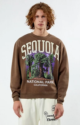 PacSun Sequoia National Park Crew Neck Sweatshirt