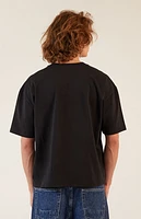 Pacsun Lake Boxy Cropped T-Shirt