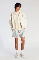 PacSun Blue Striped Crochet Volley Shorts