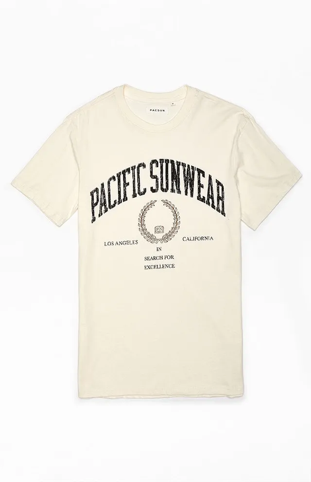 Pacsun Men's Pacific Sunwear Blur T-Shirt in White - Size Large